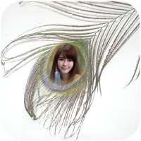 Feather Photo Frames on 9Apps