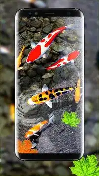 Koi Fish Live Wallpaper APK Download 2023 - Free - 9Apps Koi Fish Live Wallpaper APK Download 2023 - Free - 9Apps