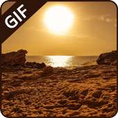 Good Afternoon Gif Colection on 9Apps
