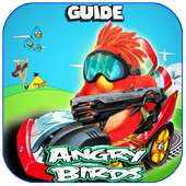 Guide Angry Birds