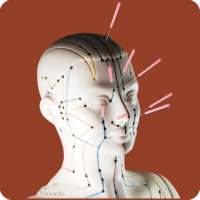 Acupuncture Guide on 9Apps
