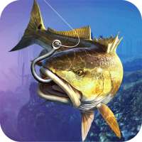 Game Berburu Hiu Ikan Liar on 9Apps