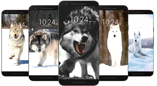 Wolf Wallpaper HD APK Download 2023 - Free - 9Apps Wolf Wallpaper HD APK Download 2023 - Free - 9Apps