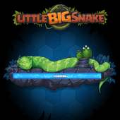Little Big Snake (.io)