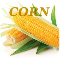 Health Benefits Of Corn on 9Apps