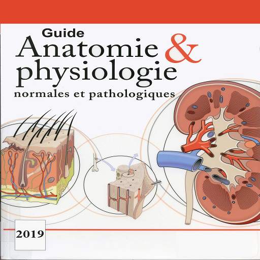 Guide Anatomie et Physiologie