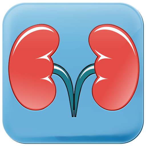 Renal Disease Kidney Diet Tips Symptoms & Foods