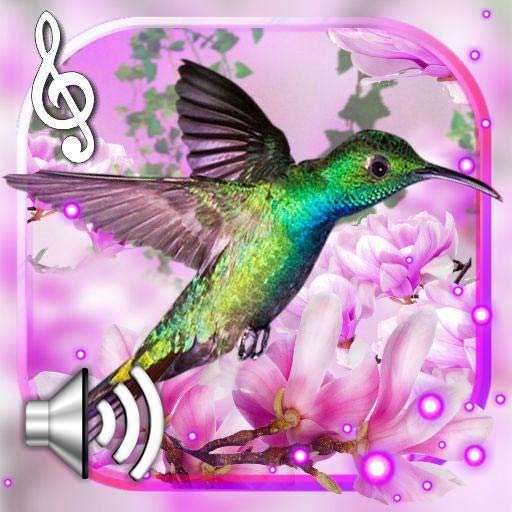 Hummingbirds Sounds LWP