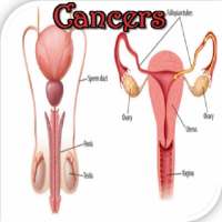 Reproductive Cancers on 9Apps