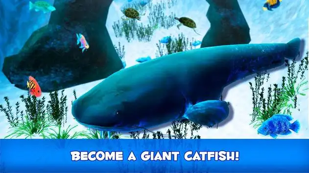 CashFish APK for Android - Download