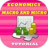 Economics Macro and Micro