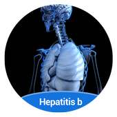 Info Hepatitis B on 9Apps