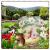 Garden Photo Frames HD