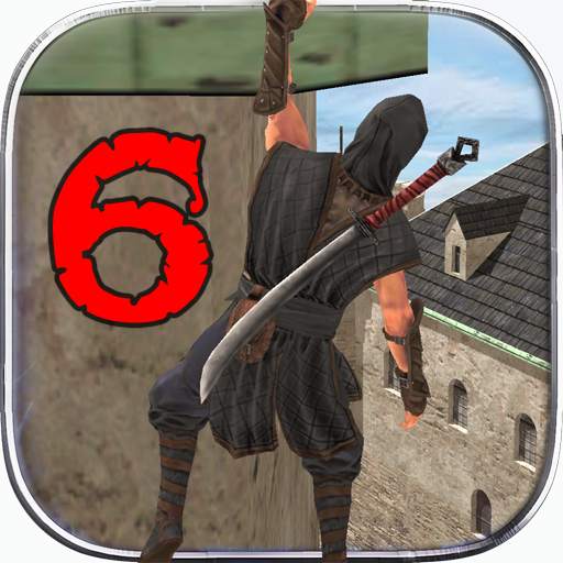 Ninja Pirate Assassin Hero 6