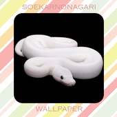 White Snake Wallpaper HD