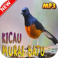 Master Kicau Murai Batu on 9Apps