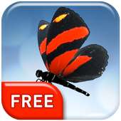 Butterfly 3D  Live Wallpaper on 9Apps