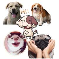 Dogs stickers WAStickerApps on 9Apps