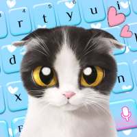 Blue Cute Kitty keyboard