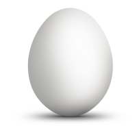 Egg X