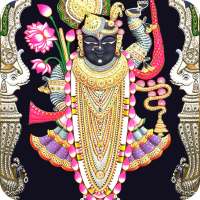 Shrinathji Aarti Chalisa Gujrati Bhajan Dhun Mantr on 9Apps