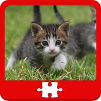 Kucing dan Teka-teki Kittens on 9Apps
