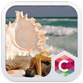 Beach Seashells CLauncher Them