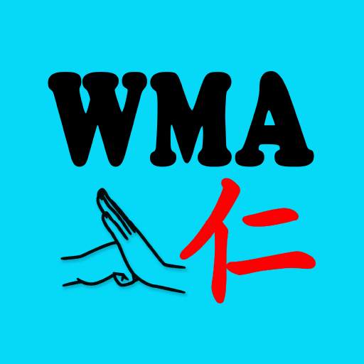 Wangs Martial Arts