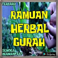 Resep cara Membuat Ramuan Gurah