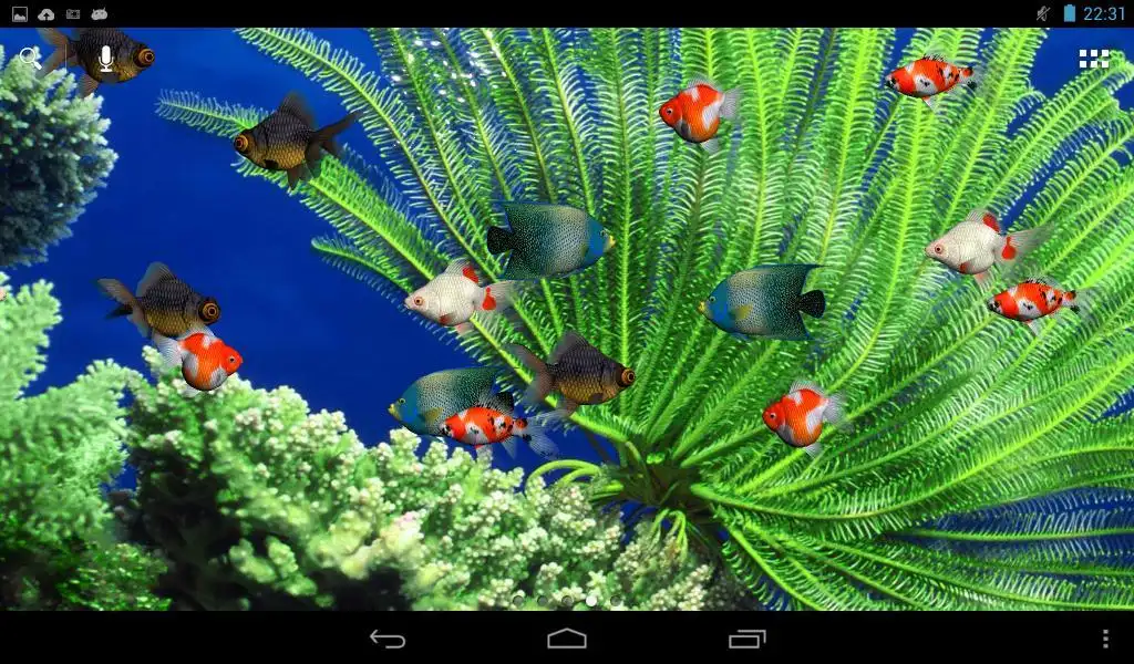Aquarium Free Live Wallpaper APK Download 2023 - Free - 9Apps Aquarium Free Live Wallpaper APK Download 2023 - Free - 9Apps