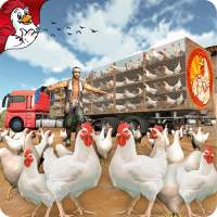 Poultry Farming  Transport Truck Driver 20