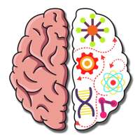 Điên Não: Thử Thách IQ Vô Cực - Đố Vui Hại Não