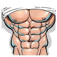 Abs Home Workout - Six Pack Abs Free