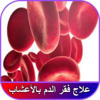 علاج فقر الدم بالاعشاب 2018 في ايام on 9Apps