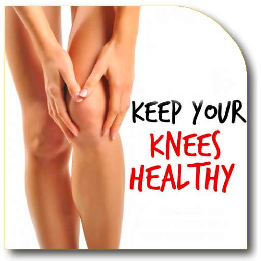 Knees Therapy Guide