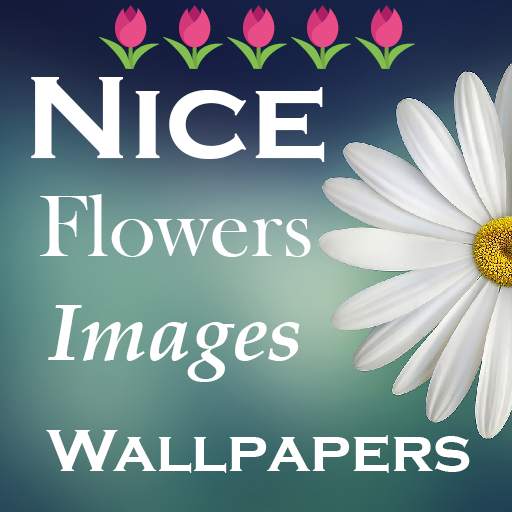 Nice Flowers and rose images, Sunflowers Wallpaper