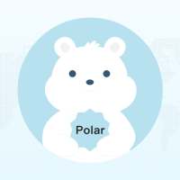 Polar Netgear