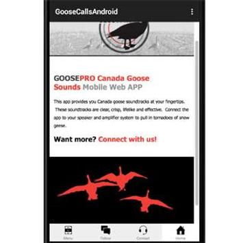 Canada goose 2025 web application