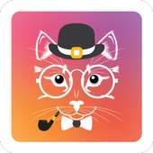 Wangcat - Wang Cat Sticker HD on 9Apps