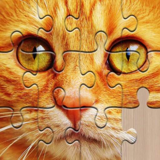 Jigsaw puzzles for everyone