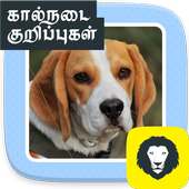 Pet Care Tips Dog Health Care Advice Tamil