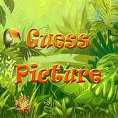 Guess Picture