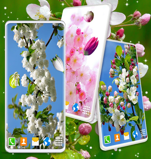Cherry Blossom Live Wallpaper 🌸 Spring Wallpaper screenshot 8