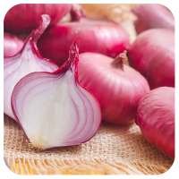 Health Benefits Of Onion on 9Apps