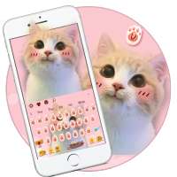 لطيف لوحة المفاتيح القط الوردي on 9Apps