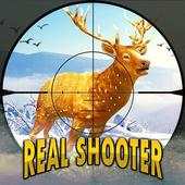 Deer Hunting Wild Animal Shooting