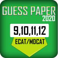 Guess Papers 2020
