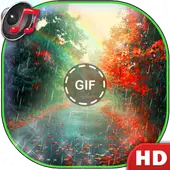 Rain Live Wallpaper with Sounds ☔ Drops
