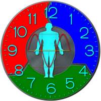 Biorhythm Clock on 9Apps