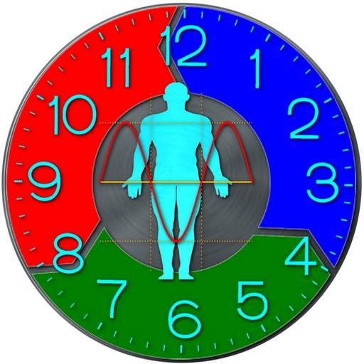 Biorhythm Clock